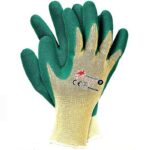 Latex kesztyű DRAGO GREEN
